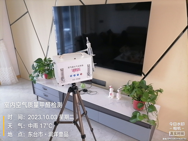 东台润洋壹品室内空气甲醛检测20231003